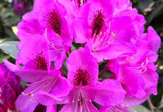 23-06-03 16-40-05 5791